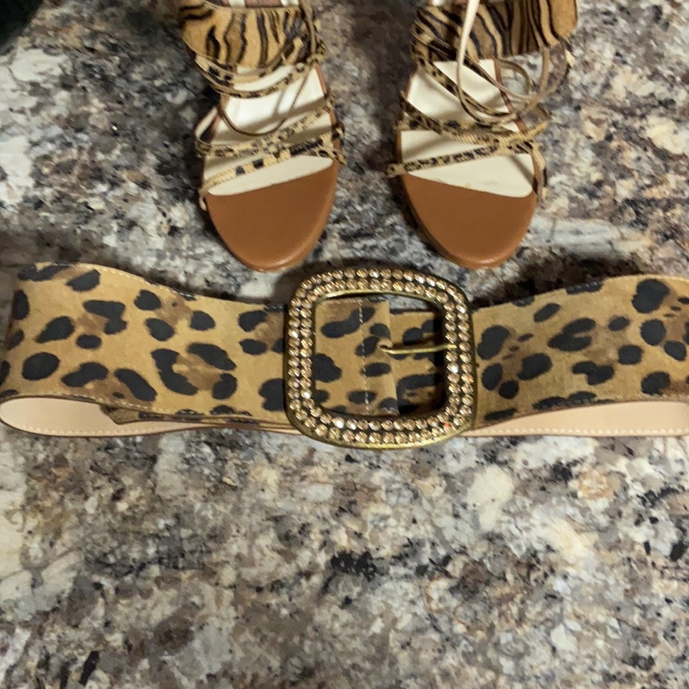 Belt